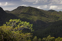 Forested hillsides, Alexander von Humboldt National Park, Cuba