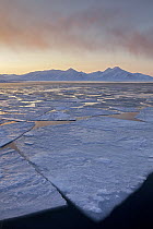 Ice floes and midnight sun, Svalbard, Spitsbergen, Norway