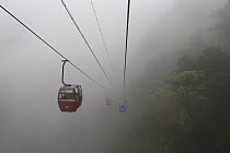 Gondolas in fog, Shunan Zhuhai National Park, Sichuan, China