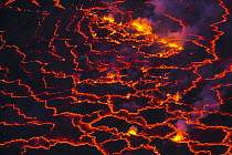 Lava in volcanic crater, Mount Nyiragongo, Virunga National Park, Democratic Republic of the Congo