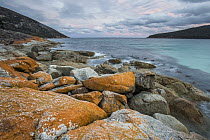 Orange lichen covered rocks along coast, Wineglass Bay, Freycinet National Park, Tasmania, Australia