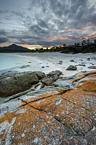 Orange lichen covered rocks along coast, Wineglass Bay, Freycinet National Park, Tasmania, Australia