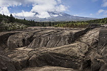 Dried mud flow caused by volcanic eruption, Cotopaxi Volcano, Cotopaxi National Park, Andes, Ecuador
