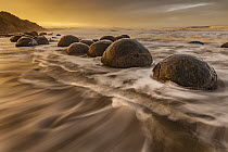 Boulders on beach, Moeraki Beach, Otago, South Island, New Zealand