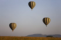 Hot air balloons over grassland, Serengeti National Park, Tanzania