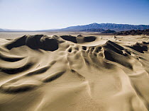 Dune buggy on sand dunes near Barstow, Dumont Dunes Off-Highway Vehicle Area, California