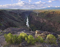 River in gorge, Rio Grande Gorge, Rio Grande del Norte National Monument, New Mexico