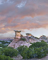 Sandstone pinnacles, New Mexico