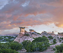 Sandstone pinnacles, New Mexico
