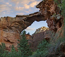 Natural arch, Devil's Arch, Red Rock-Secret Mountain Wilderness, Arizona