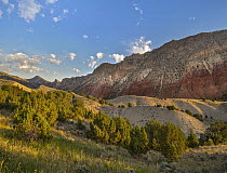 Shrubs and mountains, Flaming Gorge National Recreation Area, Wyoming