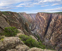 Cliff and river, Painted Wall, Gunnison River, Black Canyon of the Gunnison National Park, Colorado