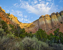 Sandstone cliffs, Echo Amphitheatre, New Mexico