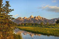 Mountain range reflected in pond, Grand Tetons, Grand Teton National Park, Wyoming