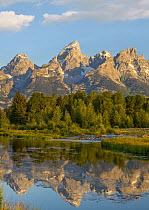 Mountain range reflected in pond, Grand Tetons, Grand Teton National Park, Wyoming