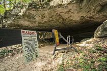Indiana Bat (Myotis sodalis) cave, Wyandotte Cave, O'Bannon Woods State Park, Indiana