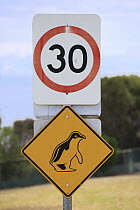 Little Blue Penguin (Eudyptula minor) traffic sign, Kangaroo Island, South Australia, Australia
