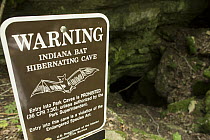 Gray Myotis (Myotis grisescens) warning sign, prohibiting entry into roosting cave, Mammoth Cave National Park, Kentucky