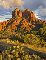 Rock formation, Cathedral Rock, Coconino National Forest, Arizona