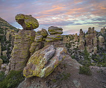 Hoodoos from Massai Point Nature Trail, Echo Canyon, Chiricahua National Monument, Arizona