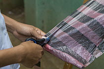 Cotton-top Tamarin (Saguinus oedipus) conservationist making eco-mochil bag, traditional style bags made out of littered plastic bags, which are then sold to tourists to raise money for tamarin conser...