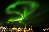 Aurora borealis in night sky over harbor, Norway