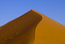 Sand dune, Sossusvlei, Namib-Naukluft National Park, Namibia
