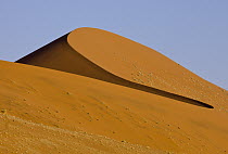 Sand dune, Sossusvlei, Namib-Naukluft National Park, Namibia