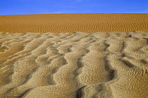 Sand patterns, Sossusvlei, Namib-Naukluft National Park, Namibia