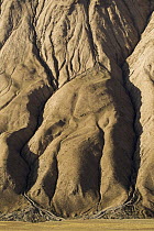 Erosion patterns on mountainside, Terskei Ala-Too Range, Sarychat-Ertash Strict Nature Reserve, Tien Shan Mountains, eastern Kyrgyzstan