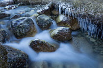 Creek with icicles, Sarychat-Ertash Strict Nature Reserve, Tien Shan Mountains, eastern Kyrgyzstan