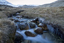 Creek with icicles flowing in mountain valley, Sarychat-Ertash Strict Nature Reserve, Tien Shan Mountains, eastern Kyrgyzstan