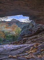 Shallow cave in Oak Creek Canyon, Coconino National Forest, Arizona
