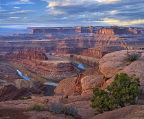 Colorado River from Deadhorse Point, Canyonlands National Park, Utah