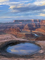 Water in pool at Dead Horse Point overlooking the Colorado River, Canyonlands National Park, Utah