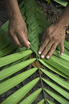 Huaorani indian weaving basket from palm, Amazon, Ecuador