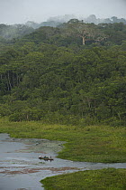 Tourists in canoe on river, Amazon, Ecuador