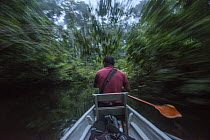 Guide paddling canoe through forest, Amazon, Ecuador