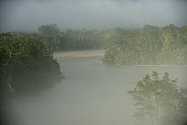 Mist over river, Napo River, Amazon, Ecuador