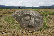 Megalith, Patung Kerbau, Central Sulawesi, Indonesia