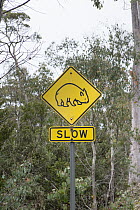 Common Wombat (Vombatus ursinus) road warning sign, Cradle Mountain-Lake Saint Clair National Park, Tasmania, Australia