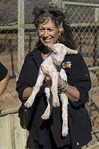 Cheetah (Acinonyx jubatus) conservationist, Laurie Marker, holding Domestic Goat (Capra hircus) baby that is part of community conservation program, Cheetah Conservation Fund, Namibia