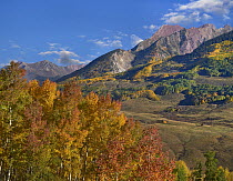 Mountains in autumn, Elk Mountains and Maroon Bells, Maroon Bells-Snowmass Wilderness Area, Colorado