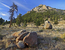 Deer Mountain, Rocky Mountain National Park, Colorado