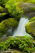 Waterfall, Great Smoky Mountains National Park, North Carolina