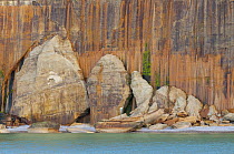 Mineral stained cliff, Pictured Rocks National Lakeshore, Michigan