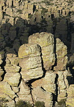 Rock formation, Chiricahua National Monument, Arizona