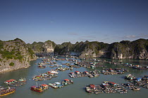 Floating houses with nets to farm fish, Ha Long Bay, Cat Ba Island, Vietnam