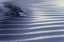 Water ripples, Spitsbergen, Svalbard, Norway