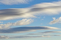 Lenticular clouds, Dempster Highway, Yukon, Canada